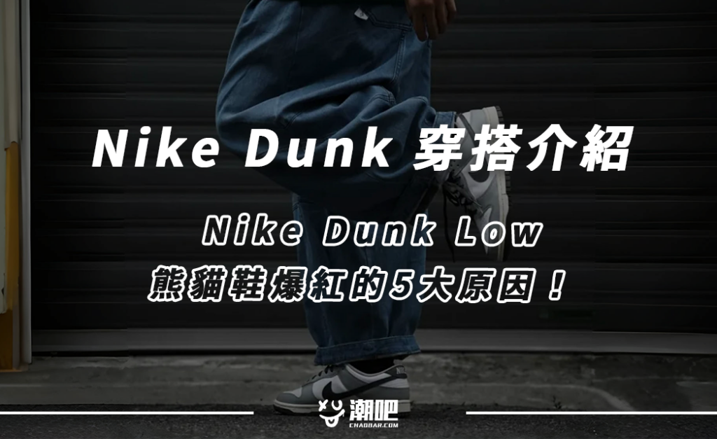 Nike Dunk cover